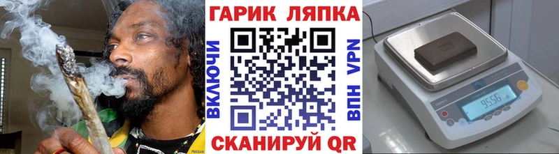 ГАШ Изолятор Елец