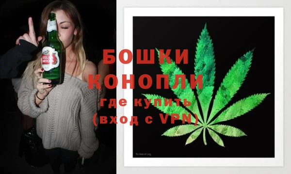 дмт Козельск