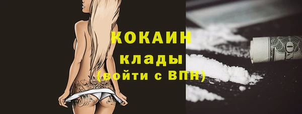 дмт Козельск
