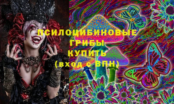 дмт Козельск