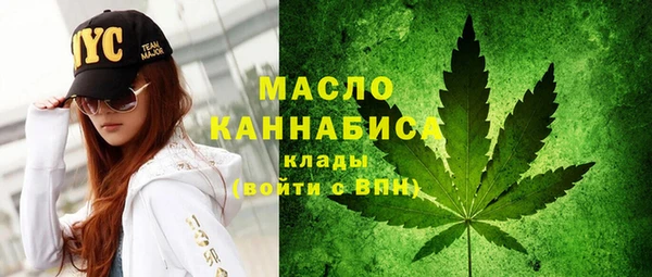 дмт Козельск