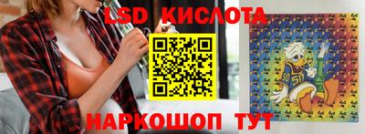 спиды Гай
