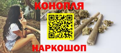 спиды Гай