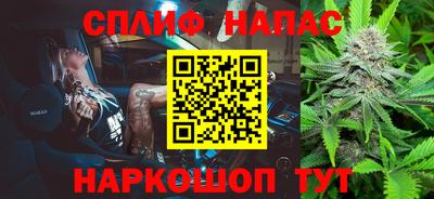 спиды Гай