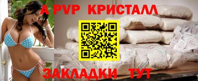 спиды Гай
