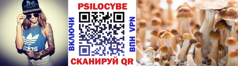закладка  Елец  Галлюциногенные грибы мицелий 