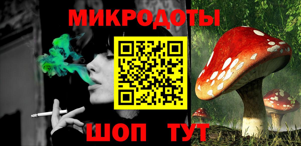 Елец  Галлюциногенные грибы Psilocybine cubensis  Вход с VPN 