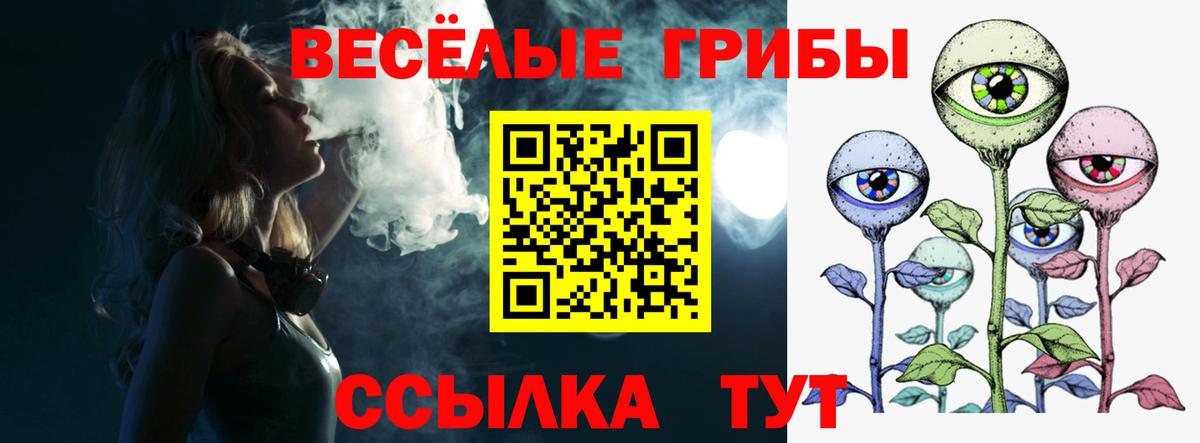 Галлюциногенные грибы GOLDEN TEACHER Елец